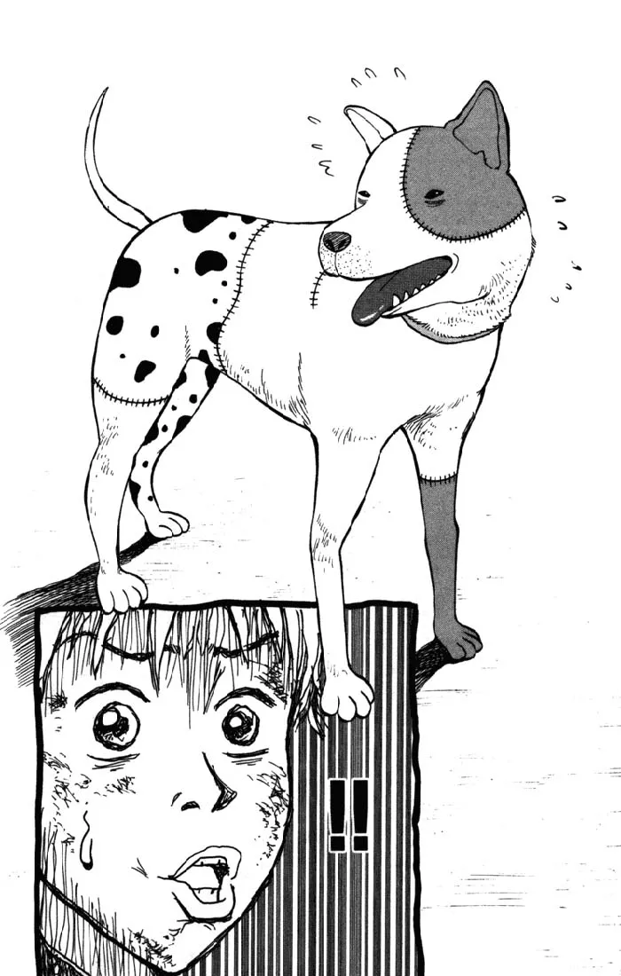 Página 22 do Capítulo 1