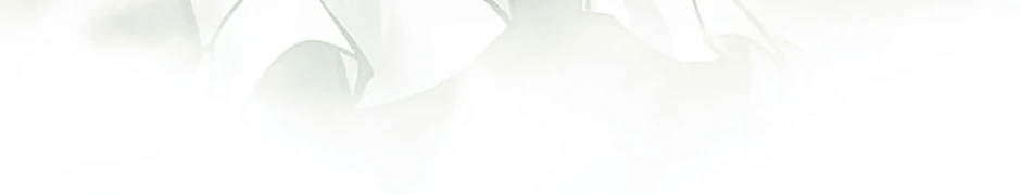 Página 28 do Capítulo 43