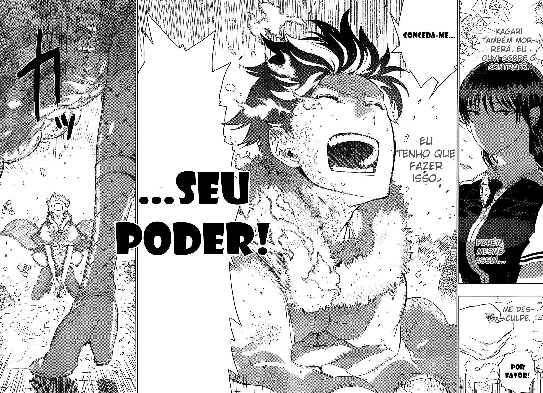 Página 17 do Capítulo 26