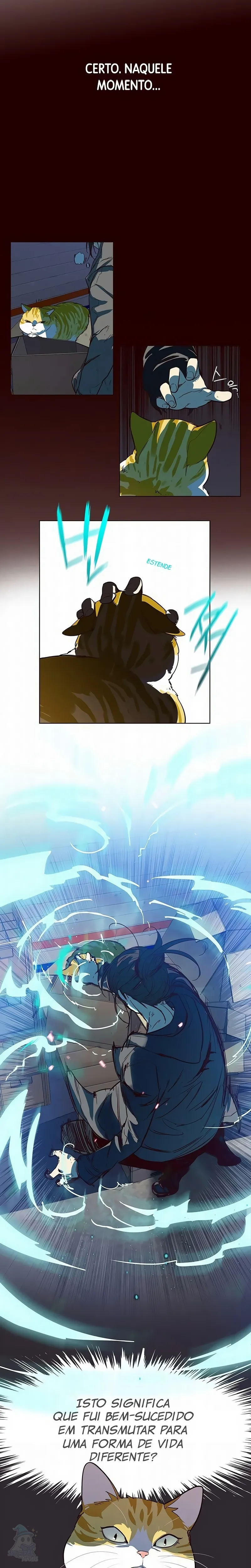 Página 13 do Capítulo 1