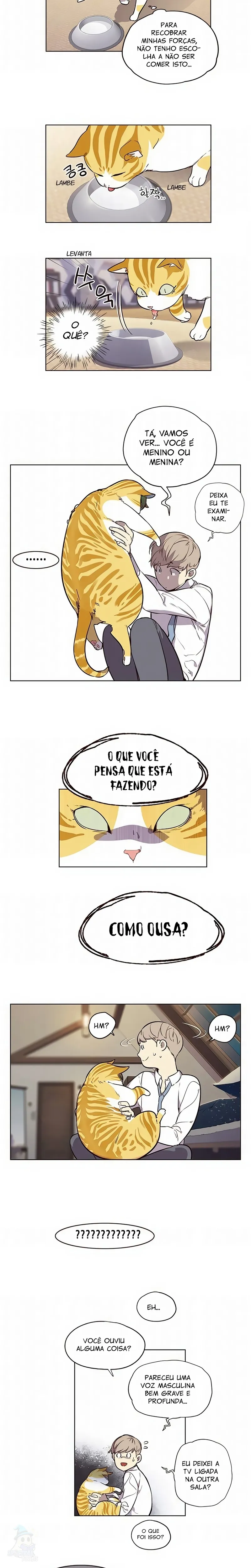 Página 17 do Capítulo 1