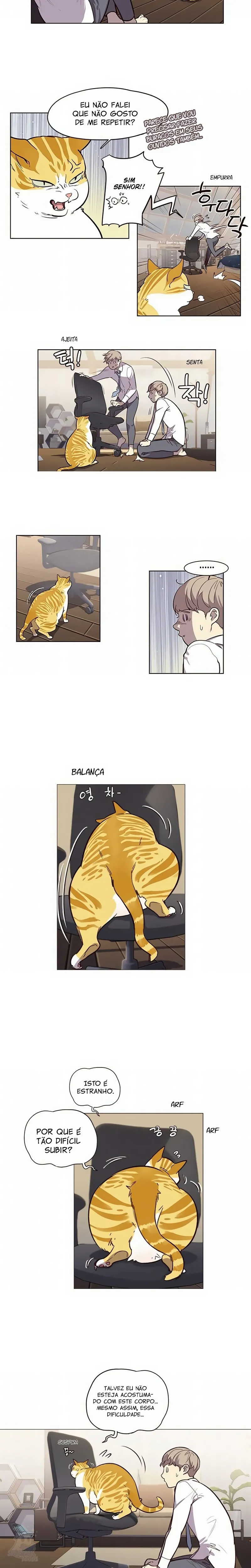 Página 20 do Capítulo 1