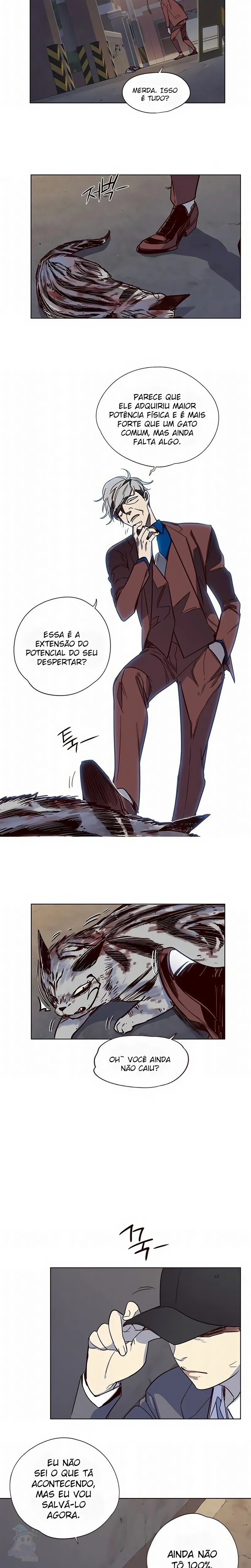 Página 14 do Capítulo 5