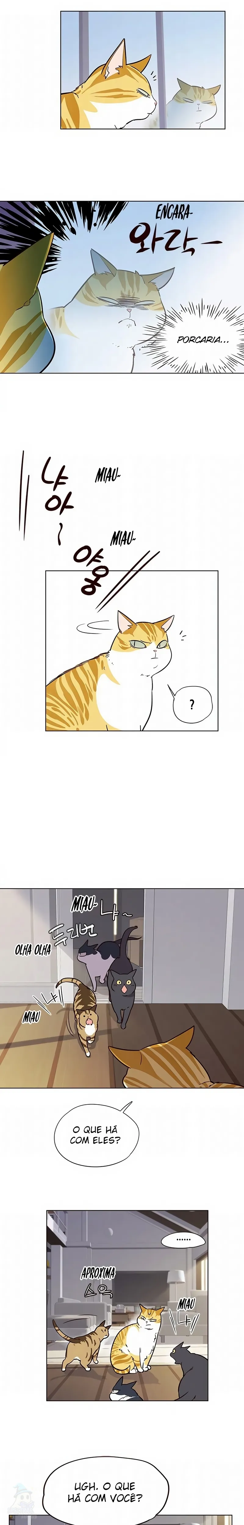 Página 13 do Capítulo 6