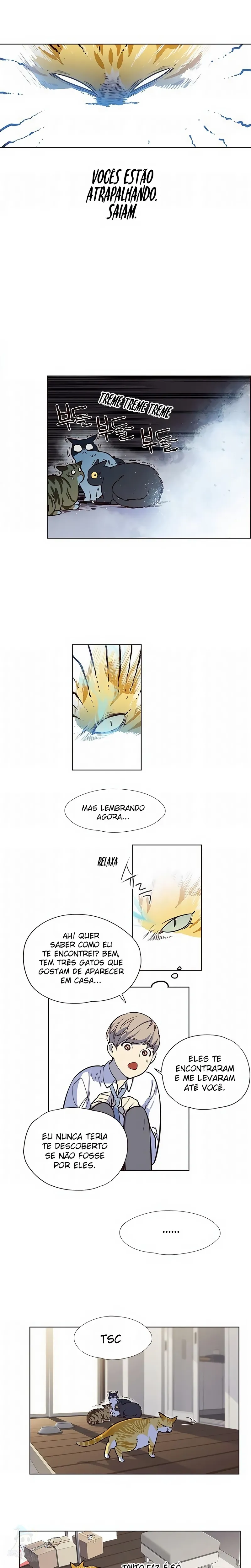 Página 15 do Capítulo 6