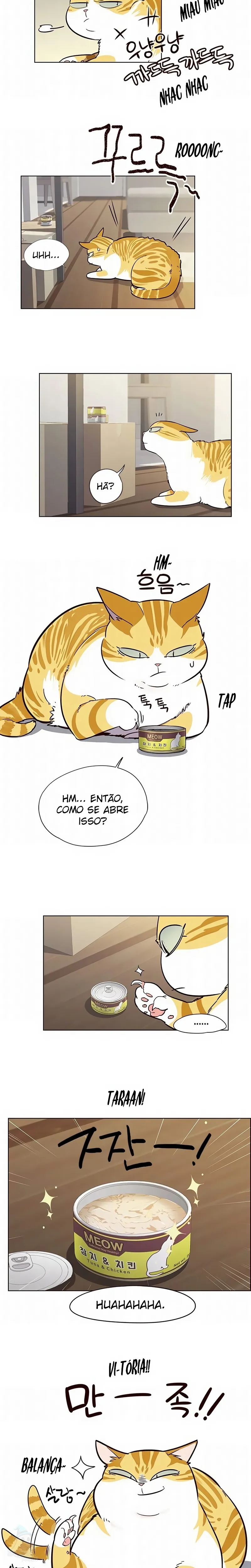 Página 17 do Capítulo 6