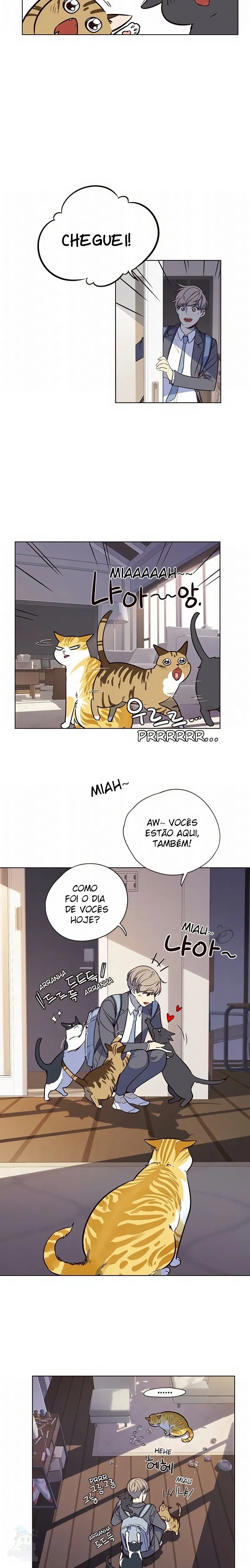 Página 19 do Capítulo 7