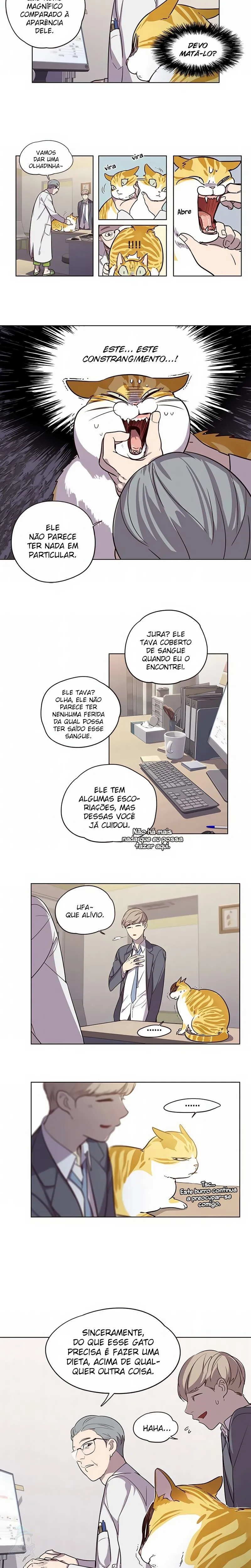 Página 11 do Capítulo 2