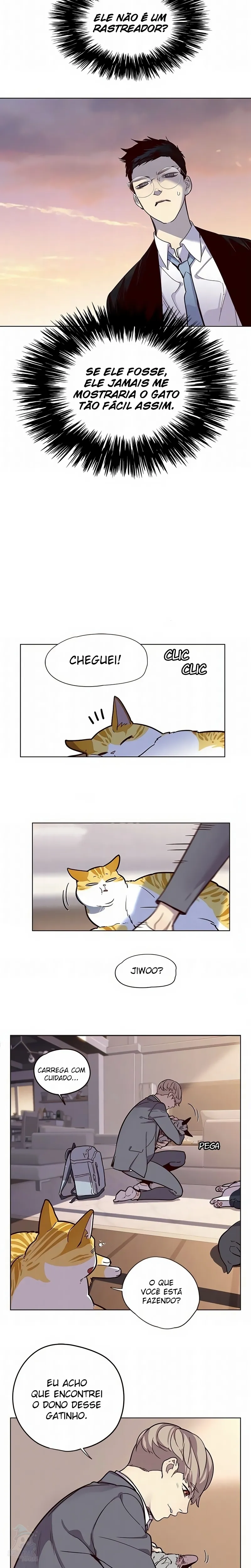 Página 15 do Capítulo 11