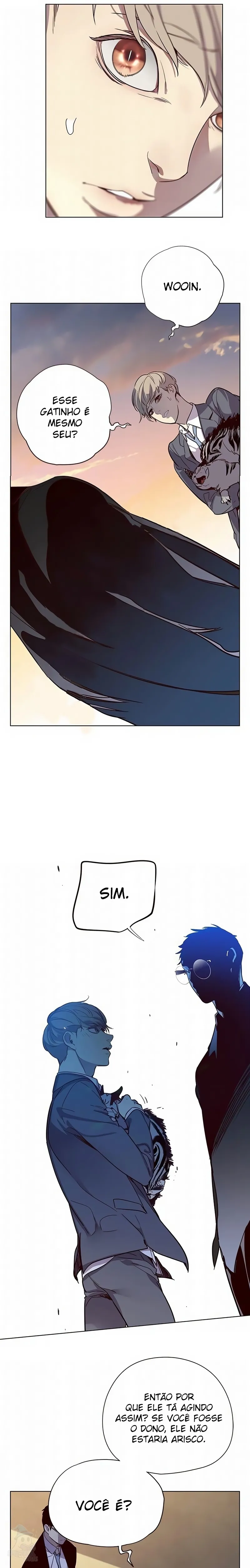 Página 20 do Capítulo 11
