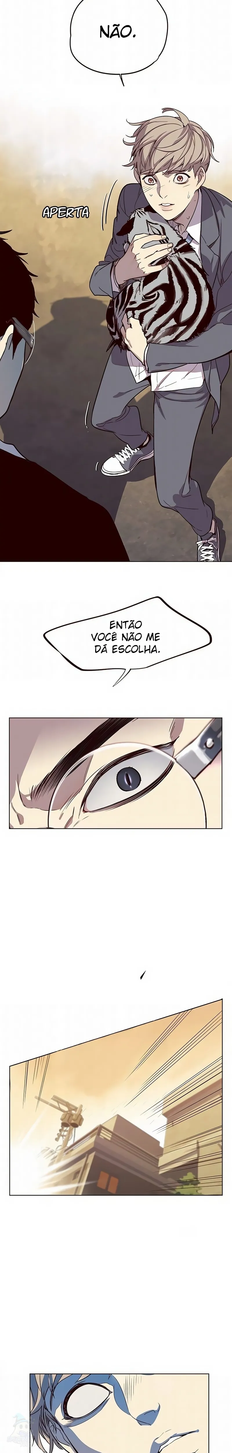 Página 22 do Capítulo 11