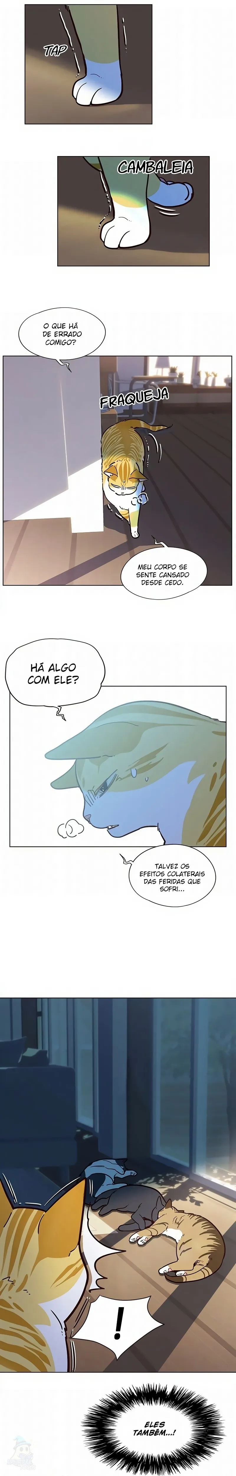 Página 6 do Capítulo 11