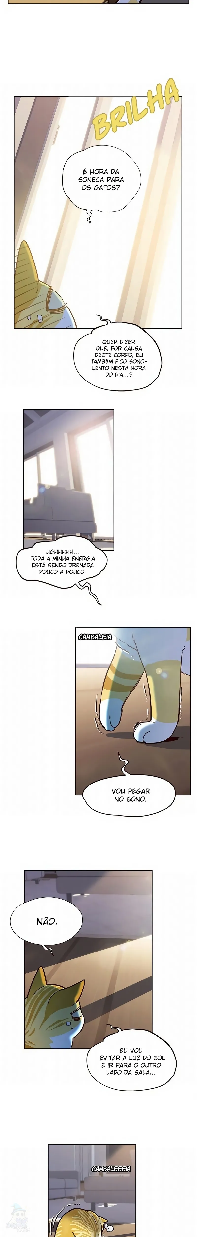 Página 8 do Capítulo 11