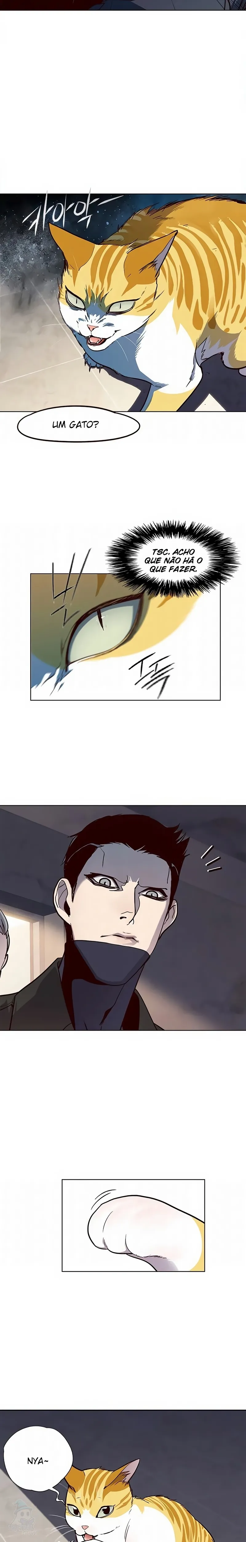 Página 20 do Capítulo 19