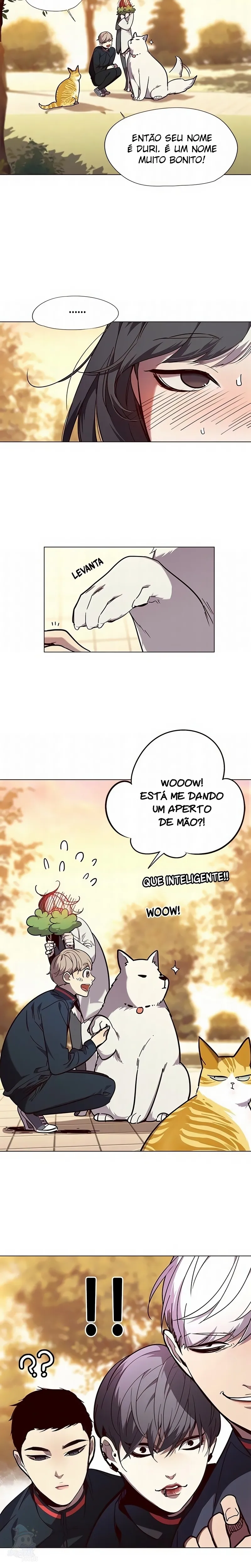 Página 20 do Capítulo 90