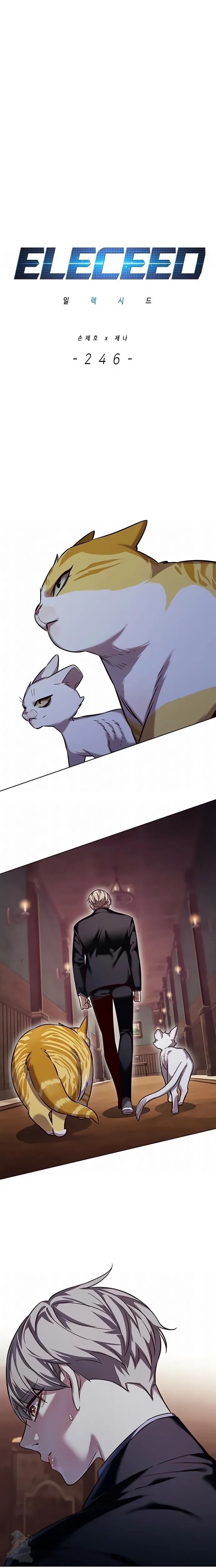 Página 13 do Capítulo 246