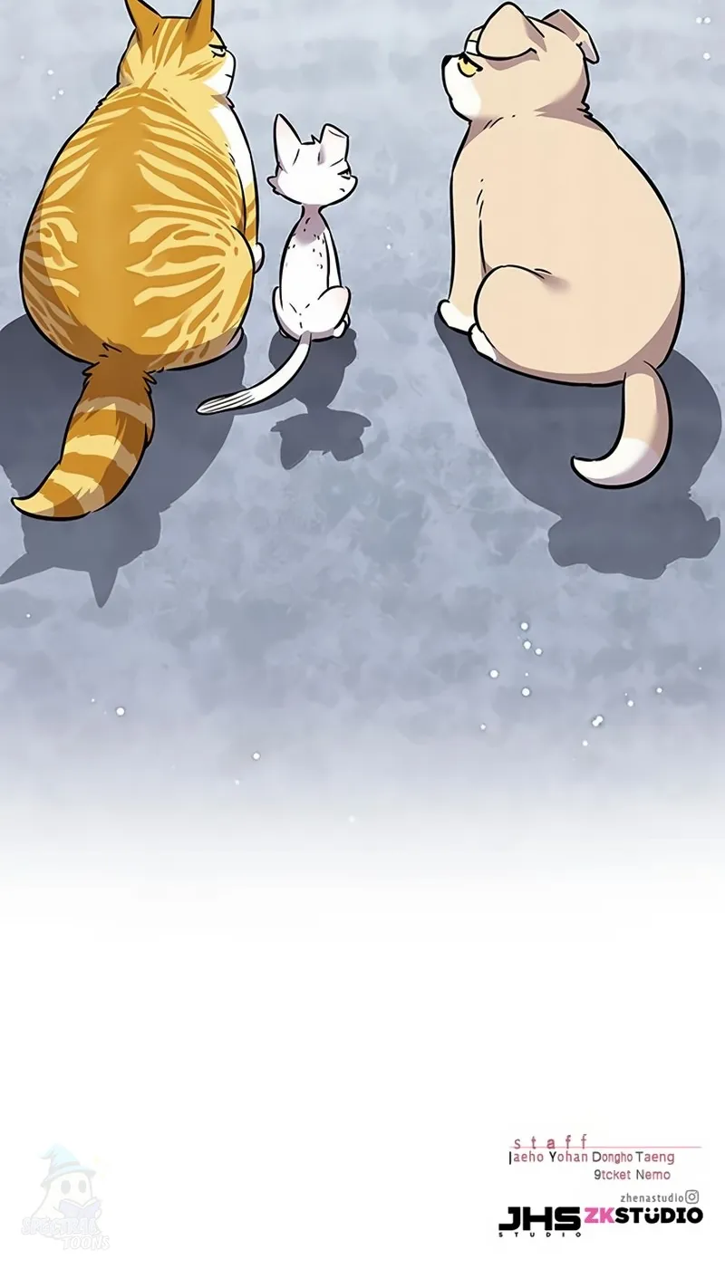 Página 35 do Capítulo 343