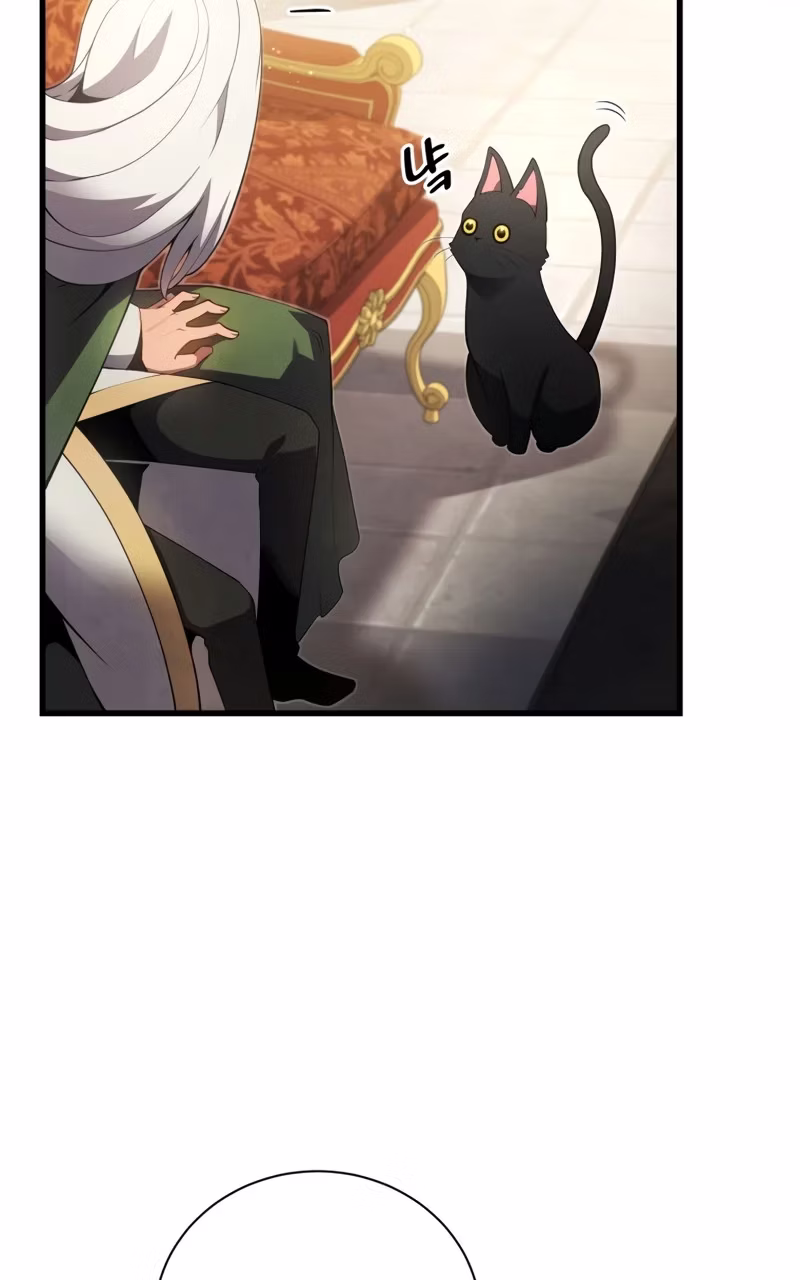Página 61 do Capítulo 11