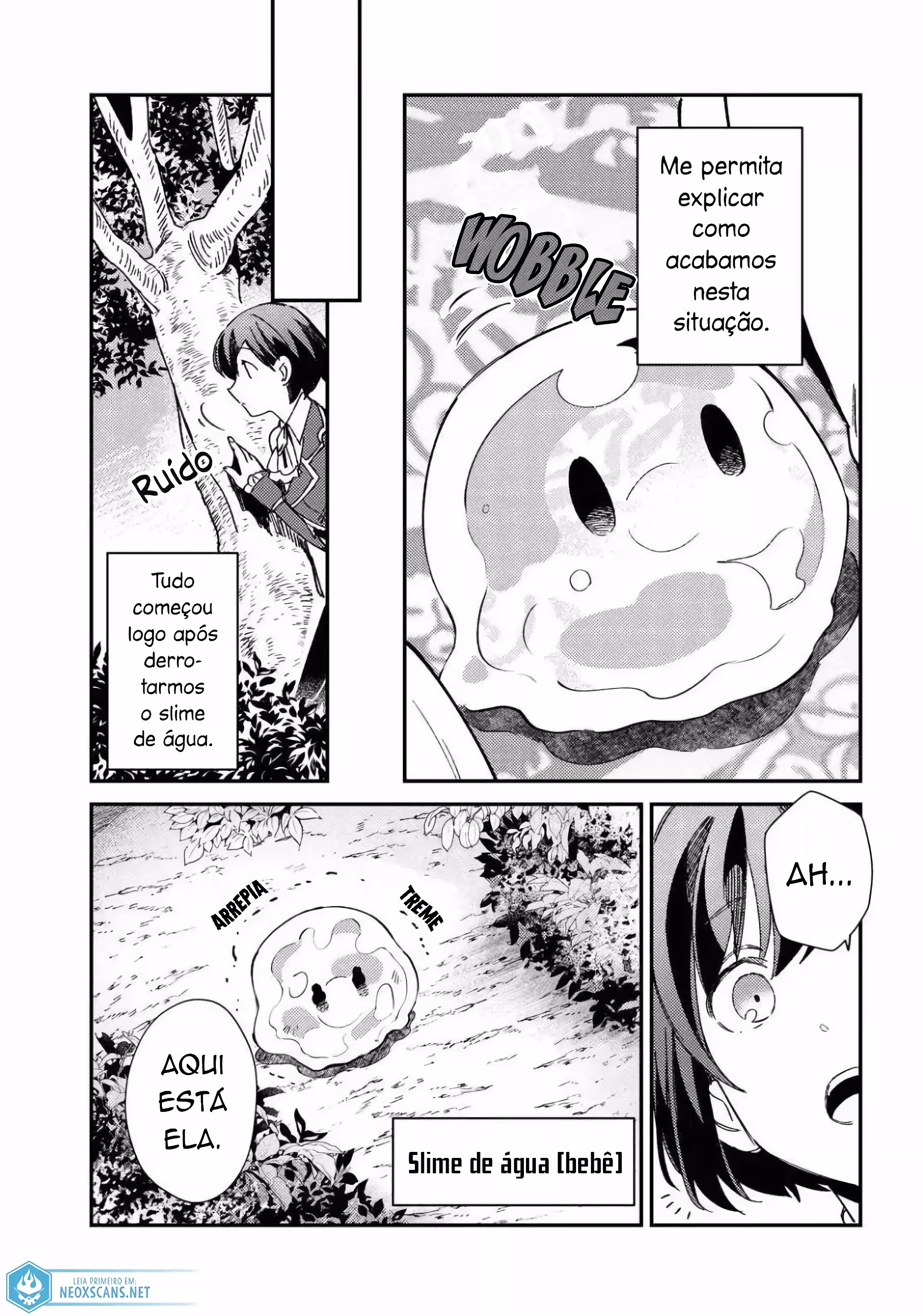 Página 4 do Capítulo 10