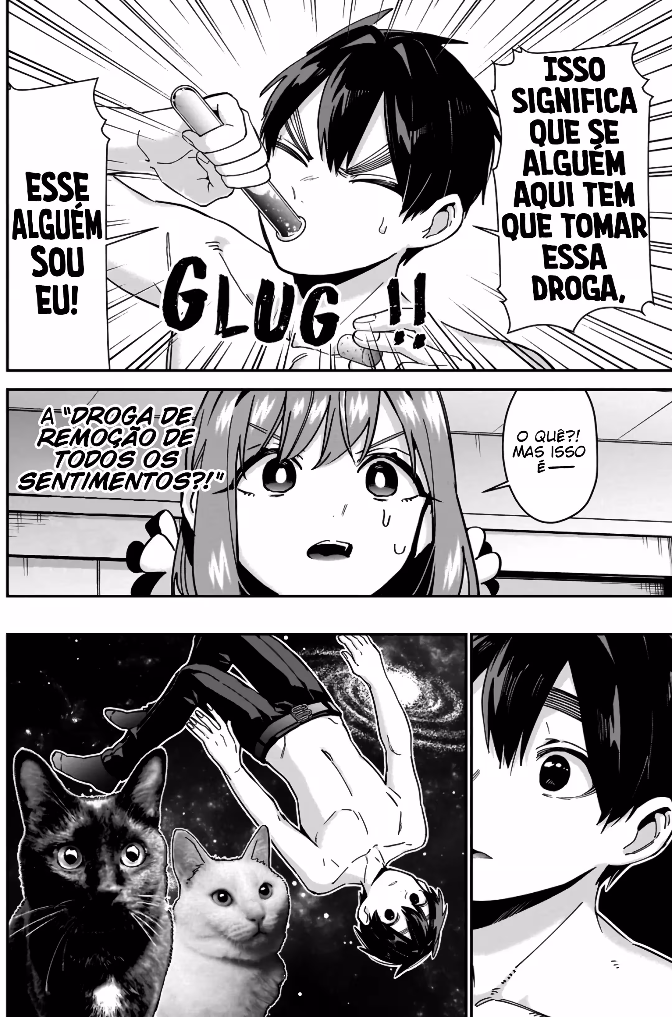Página 13 do Capítulo 103