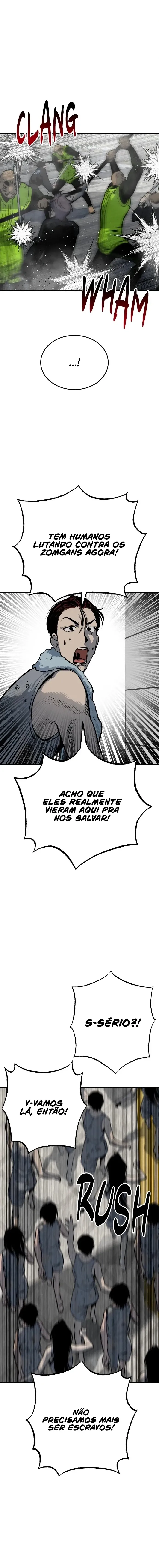 Página 14 do Capítulo 29