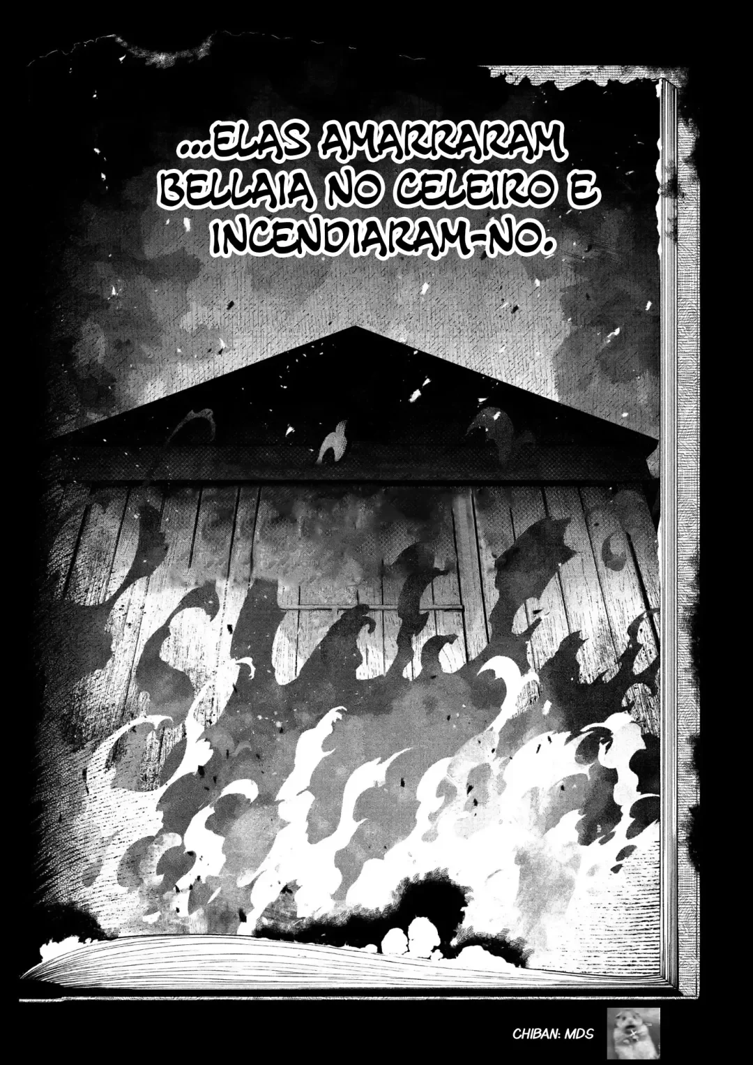 Página 13 do Capítulo 20