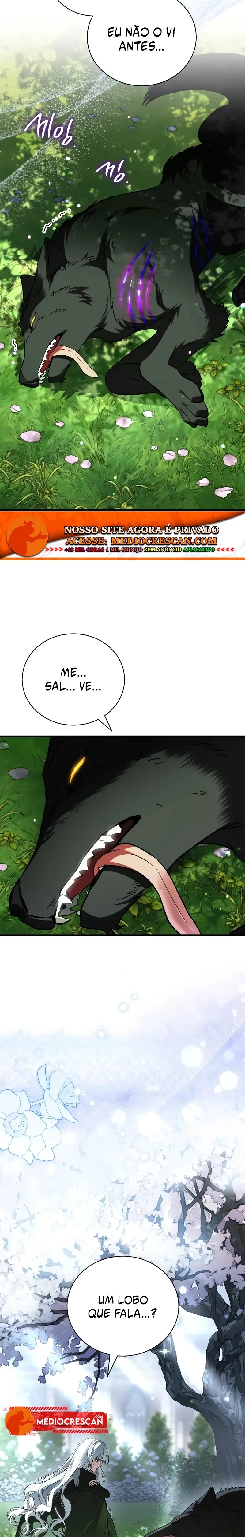 Página 33 do Capítulo 11