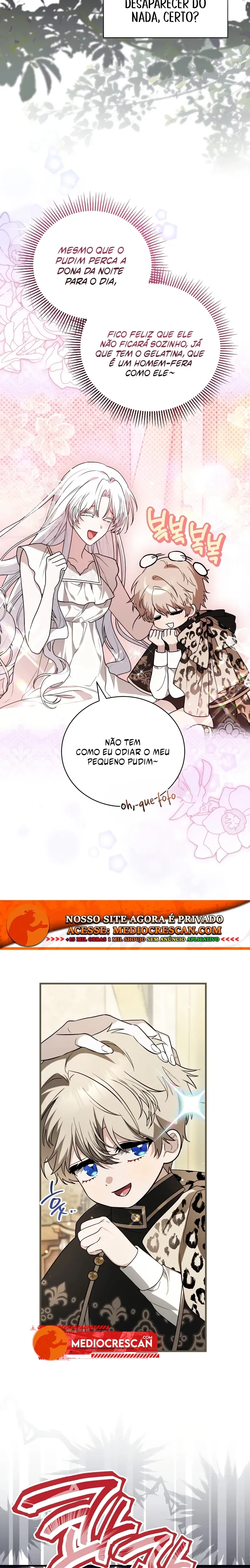 Página 19 do Capítulo 13