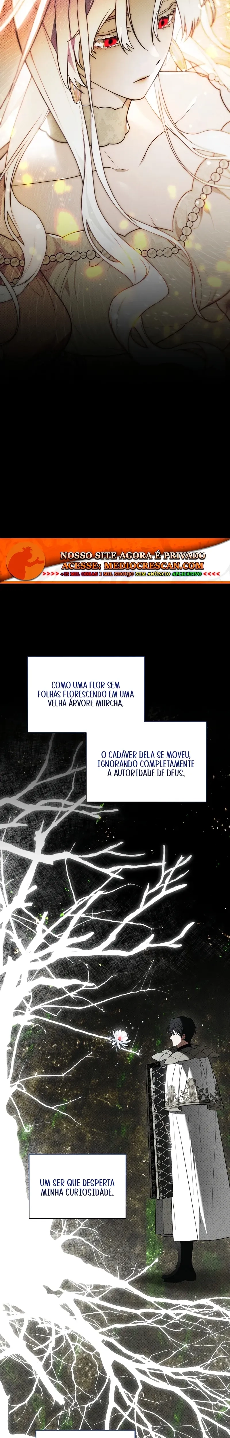 Página 11 do Capítulo 17