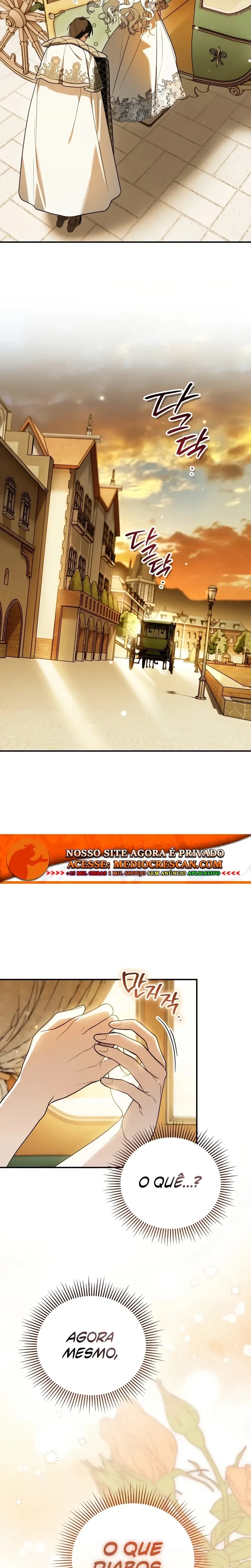 Página 25 do Capítulo 20