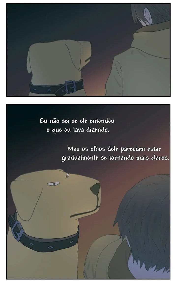 Página 12 do Capítulo 113