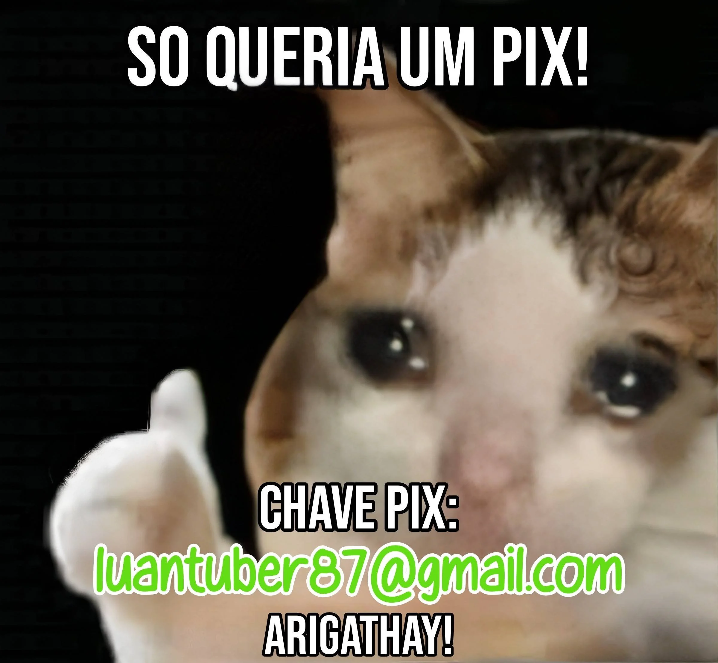 Página 14 do Capítulo 99
