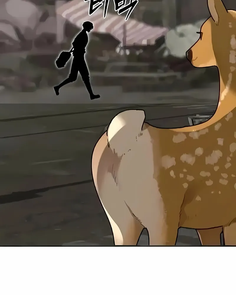 Página 19 do Capítulo 7