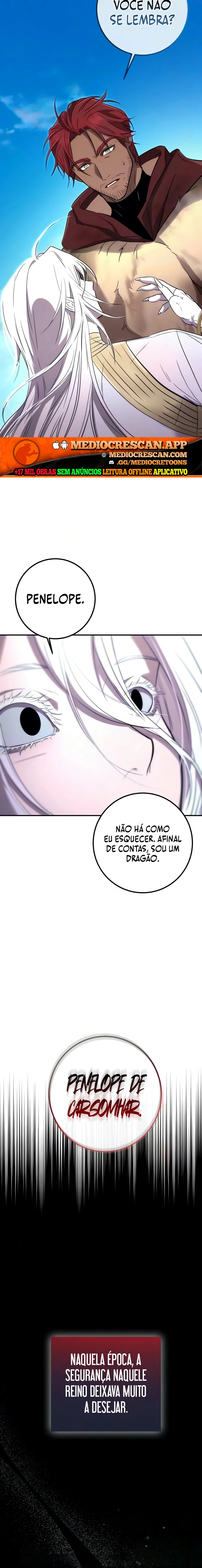 Página 17 do Capítulo 13