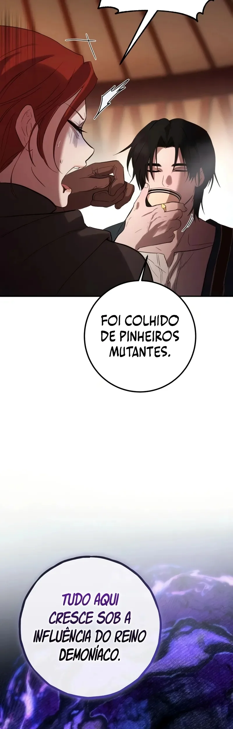 Página 13 do Capítulo 2