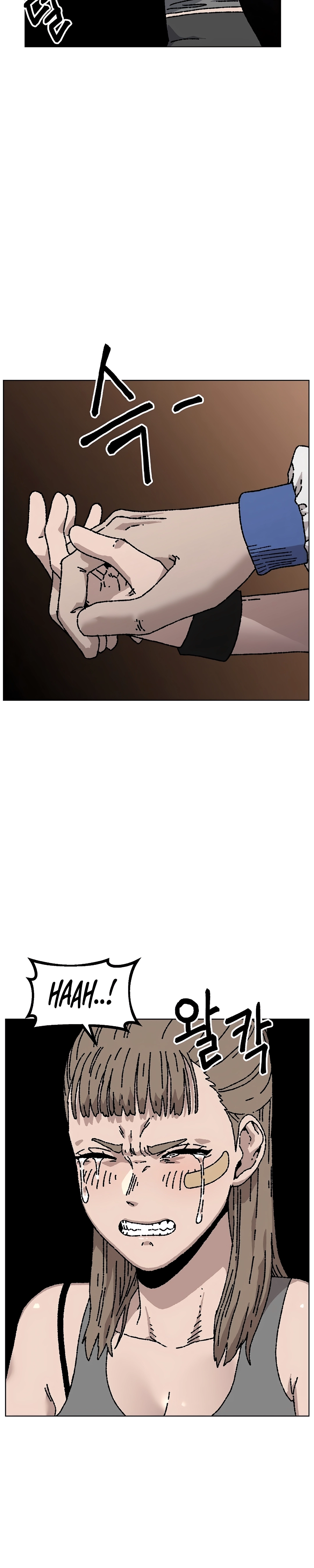 Página 15 do Capítulo 40