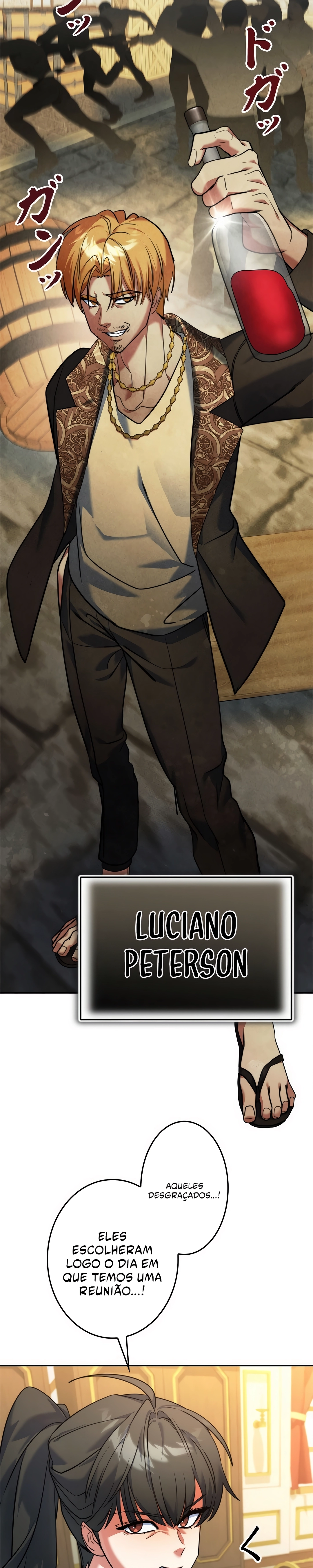 Página 17 do Capítulo 20