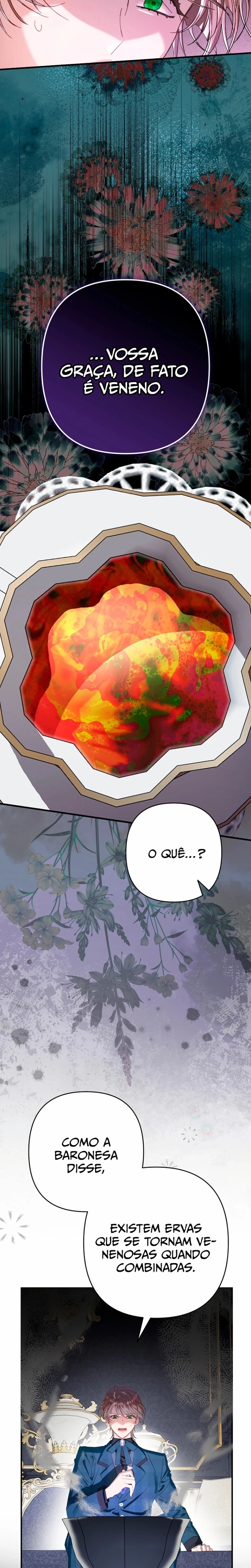 Página 28 do Capítulo 13