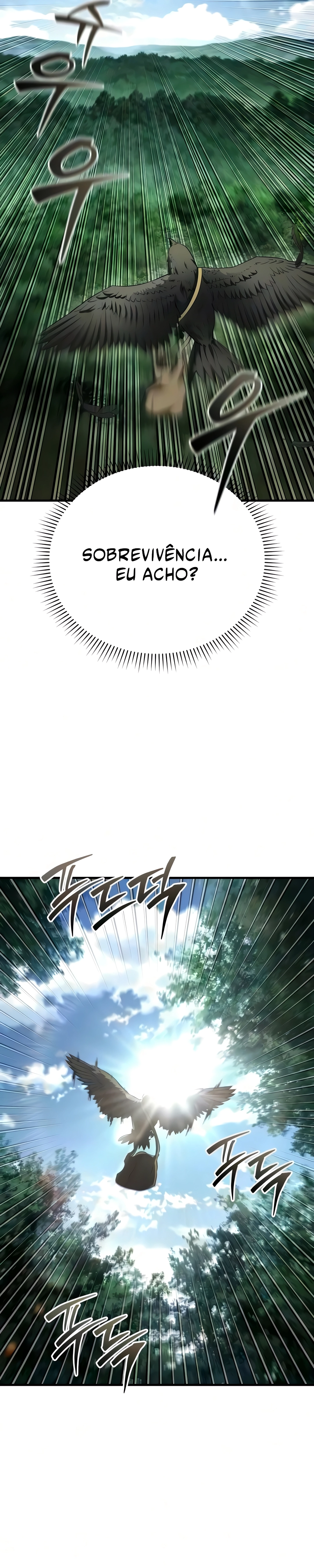 Página 17 do Capítulo 8