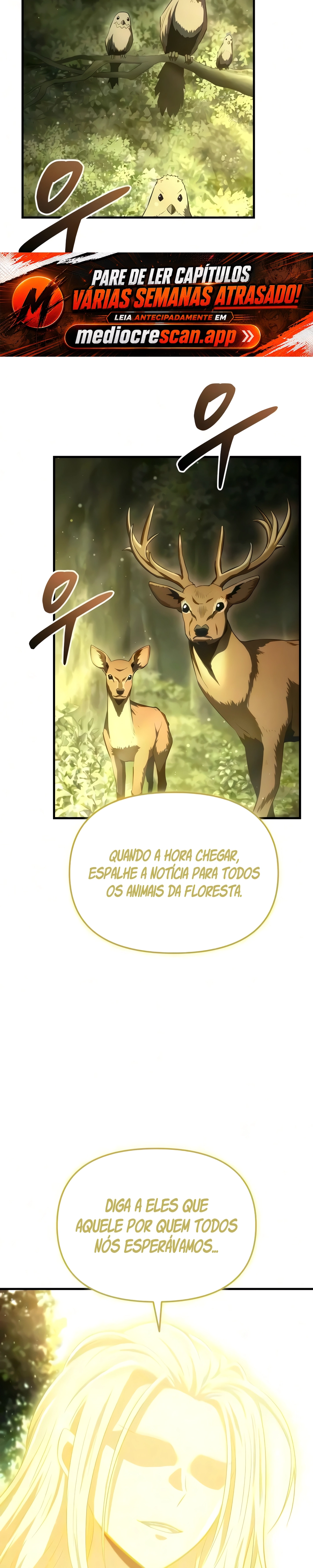 Página 40 do Capítulo 14