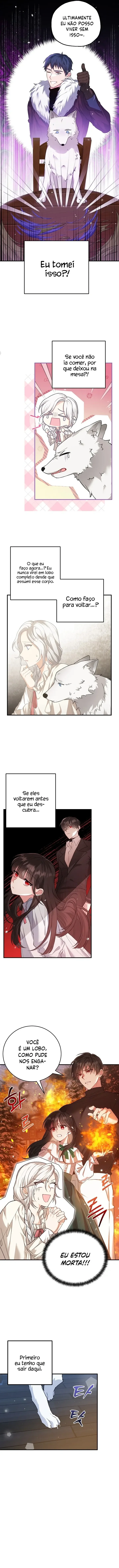 Página 5 do Capítulo 20