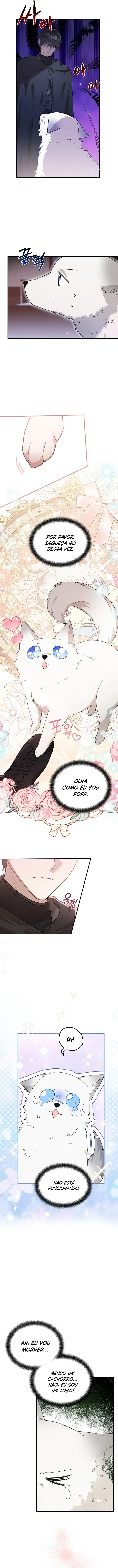 Página 5 do Capítulo 21