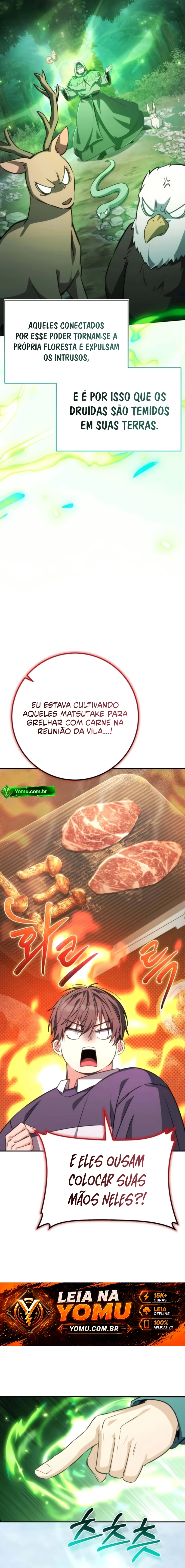 Página 12 do Capítulo 11