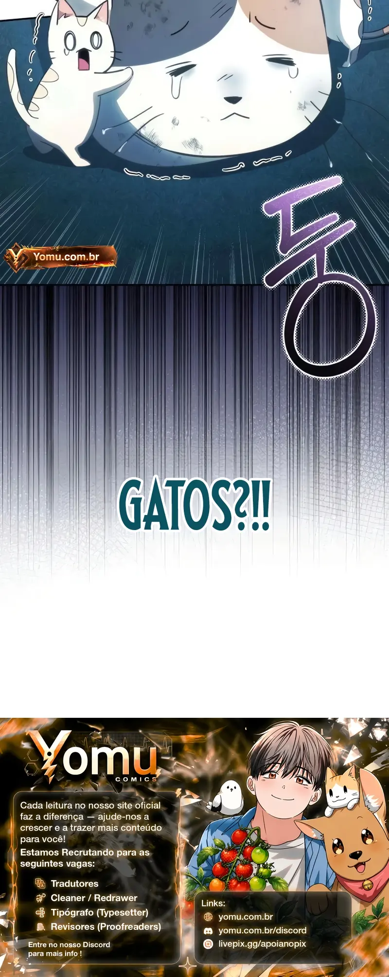 Página 12 do Capítulo 14
