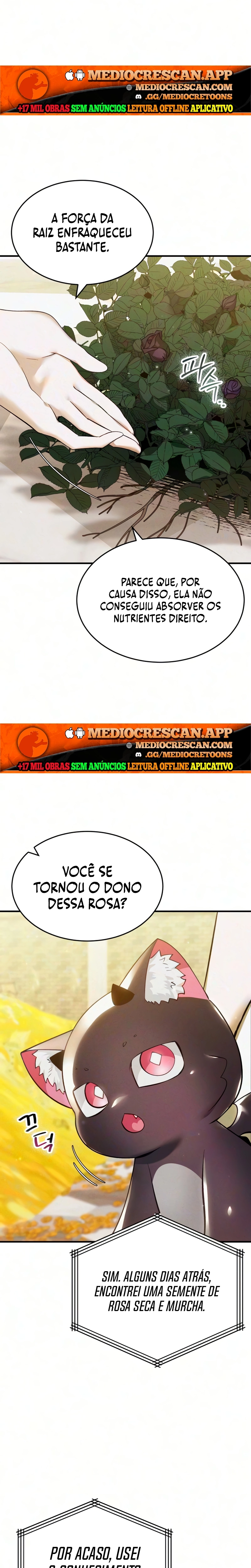 Página 3 do Capítulo 23