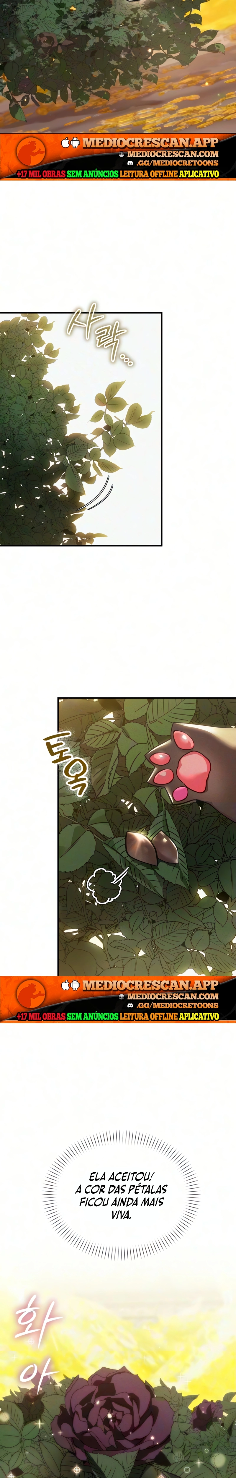 Página 13 do Capítulo 23
