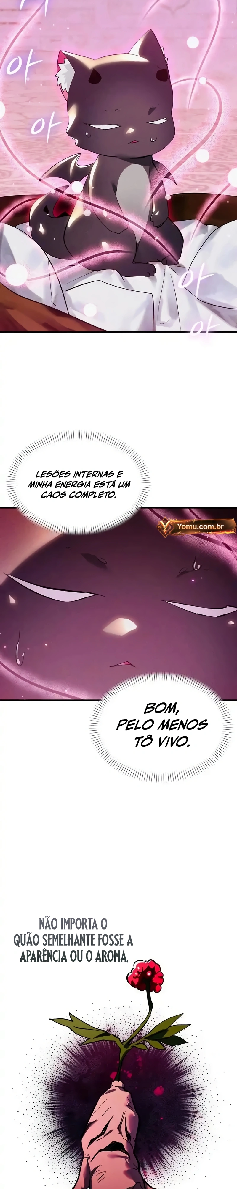 Página 29 do Capítulo 8