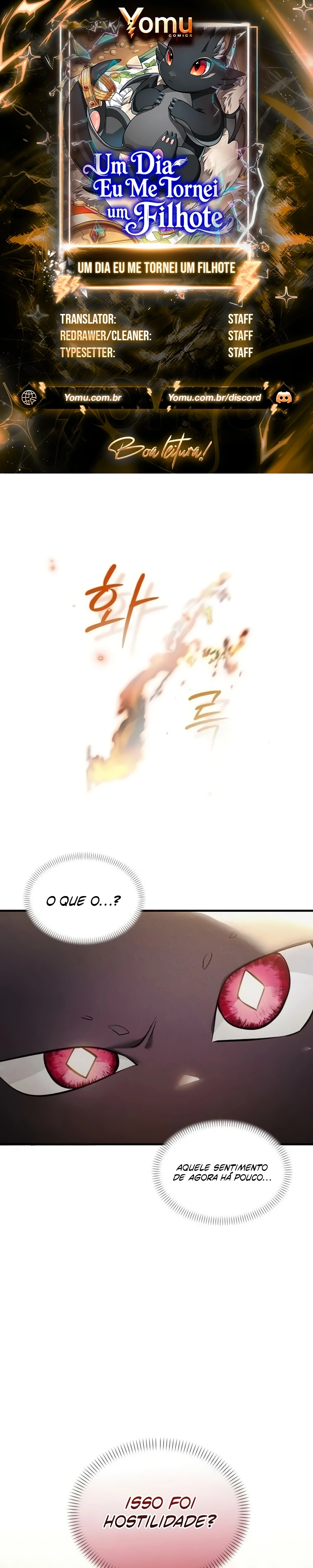 Página 1 do Capítulo 11