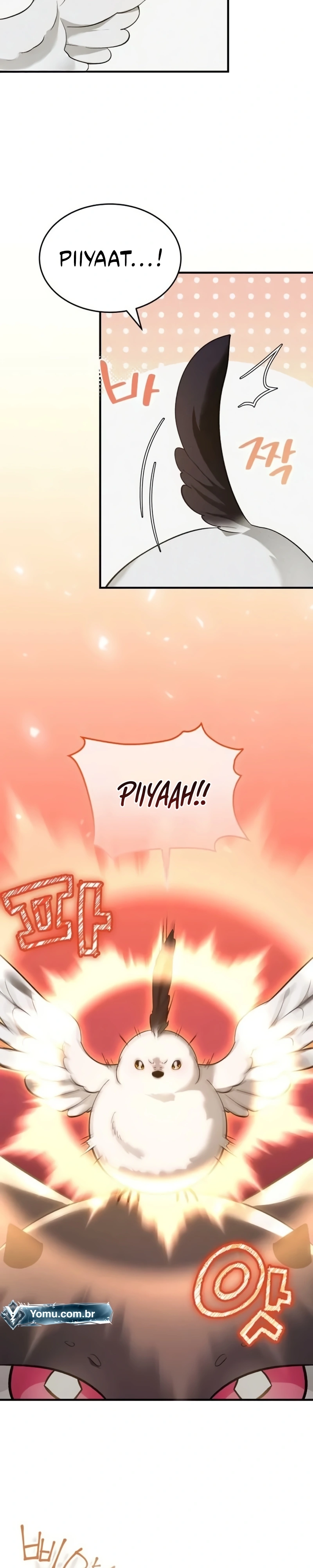 Página 5 do Capítulo 11