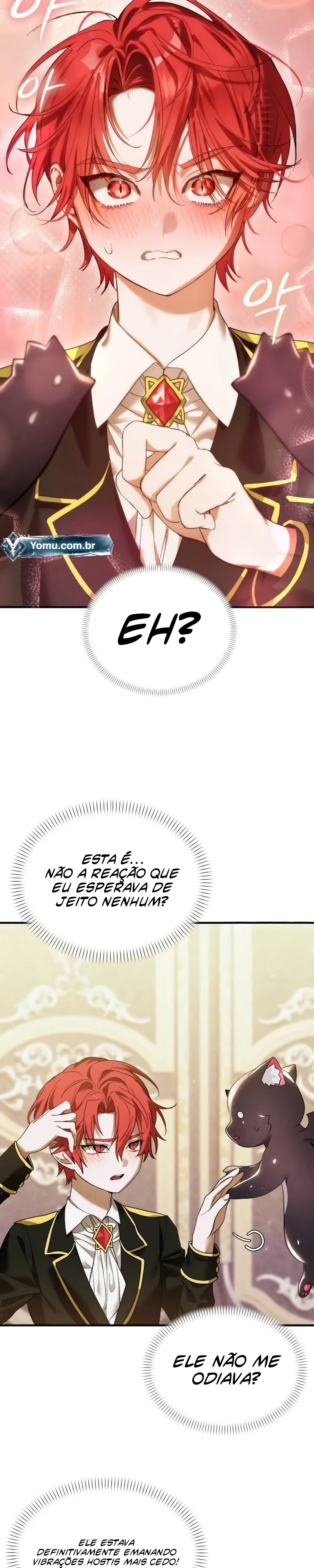 Página 14 do Capítulo 11